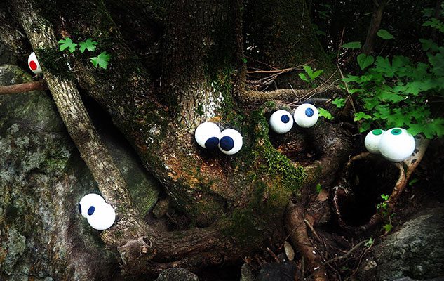 Il Bosco delle Meraviglie, il primo “parco emozionale” d’Italia