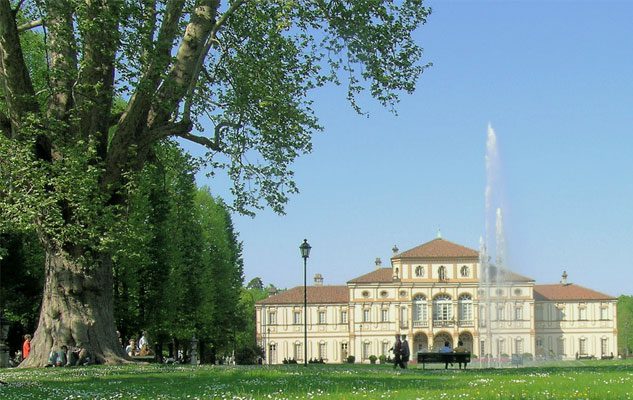 L’albero più vecchio di Torino, splendido monumento verde del XVIII secolo