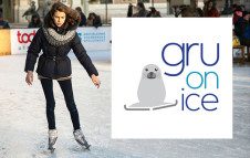 Gru on Ice - Pista di pattinaggio alle Gru