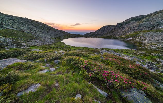 Il Parco Orsiera-Rocciavrè, un paradiso naturale ricco di storia e bellezza