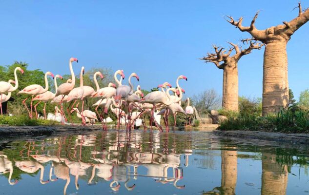 Lo Zoom di Torino: affascinante giardino naturalistico per tutta la famiglia