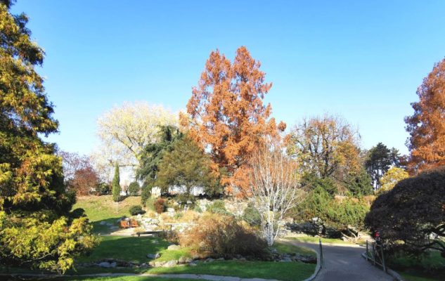 Giardino Roccioso Torino percorsi