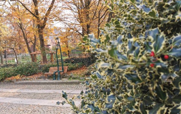 Il Giardino Roccioso del Valentino: percorsi sensoriali e passeggiate romantiche