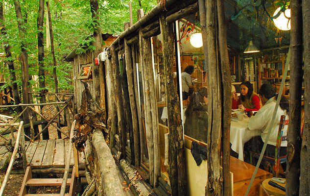 Il villaggio di case sugli alberi in Piemonte: un luogo segreto tra sogno e realtà