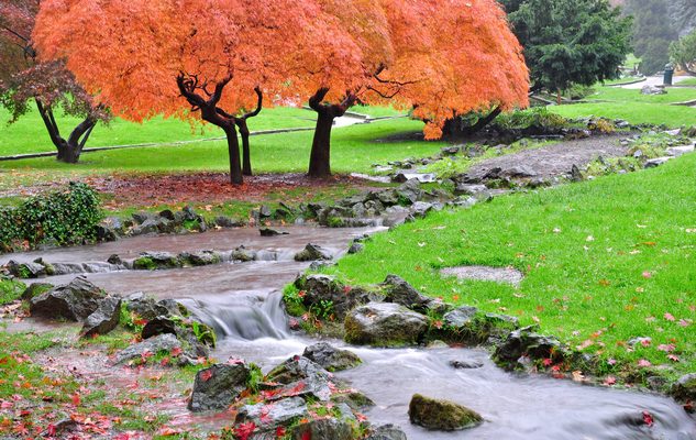 foto-torino-autunno-10