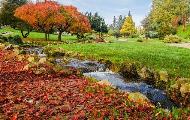 foto-torino-autunno-2