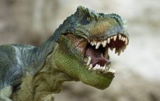 Dino Live - la mostra di dinosauri animatronici