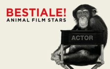 Bestiale! Animal Film Stars