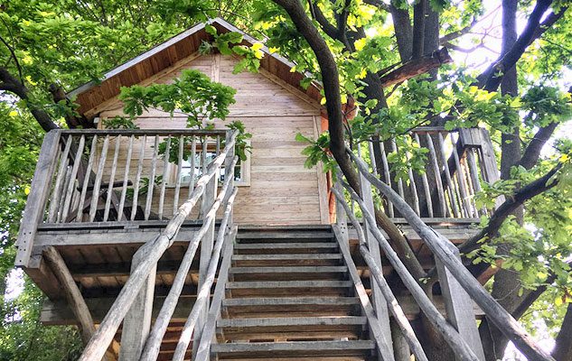 I 5 hotel sugli alberi in Piemonte: dormire a qualche metro da terra tra natura, stelle e magia