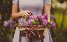 Flor Autunno 2017: Torino si trasforma in un grande giardino