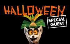 Halloween 2017 allo Zoom di Torino