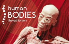 Human Bodies - The Exhibition