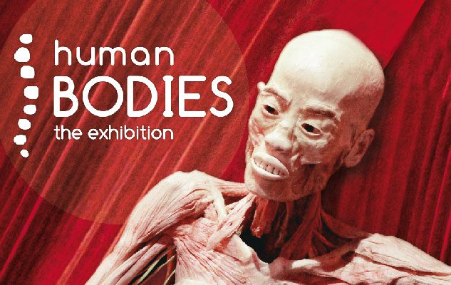 Human Bodies – The Exhibition