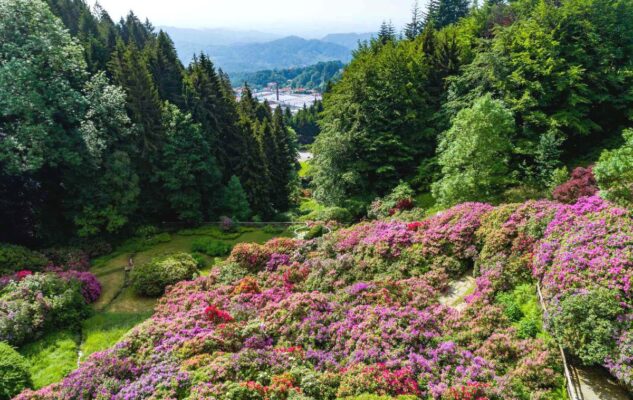 conca dei rododendri oasi zegna