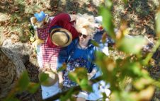 Ferragosto 2018 al Castello di Miradolo: picnic e attività per famiglie