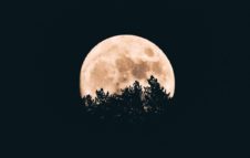 "Guarda che lune!": evento speciale al Planetario per l'International Observe The Moon Night 2018