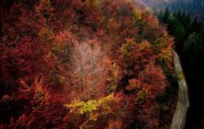Foliage nell'Oasi Zegna: spettacolari passeggiate tra i colori d'autunno