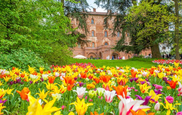 Risultati immagini per CASTELLO DI PRALORMO TULIPANI?