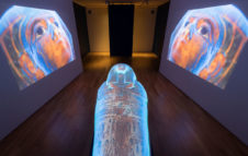 Archeologia Invisibile: la mostra del Museo Egizio per scoprire i segreti dei faraoni