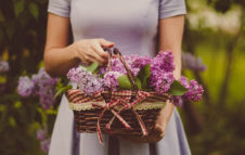 Flor Autunno 2019: Torino si trasforma in un grande giardino