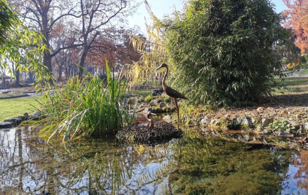 giardiniere artista Torino