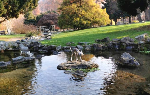 giardiniere artista Torino