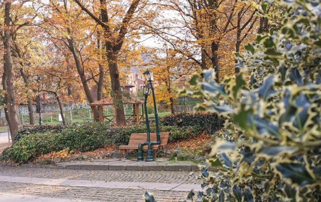 giardiniere artista Torino