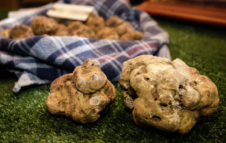 Fiera del Tartufo Bianco d’Alba 2019: le date e il programma