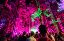 Deep in the tree: la foresta suona techno tra spettacoli di luci e alberi secolari