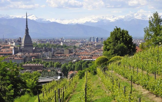 L’antica “Vigna della Regina” di Torino dove nasce l’unico vino urbano DOC del mondo
