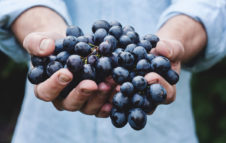 Fiera del Rapulé 2019: piatti tipici e buon vino nelle antiche cantine scavate nel tufo