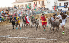 Il Palio degli Asini di Cocconato 2019: corsa, sfilata e una cena medievale