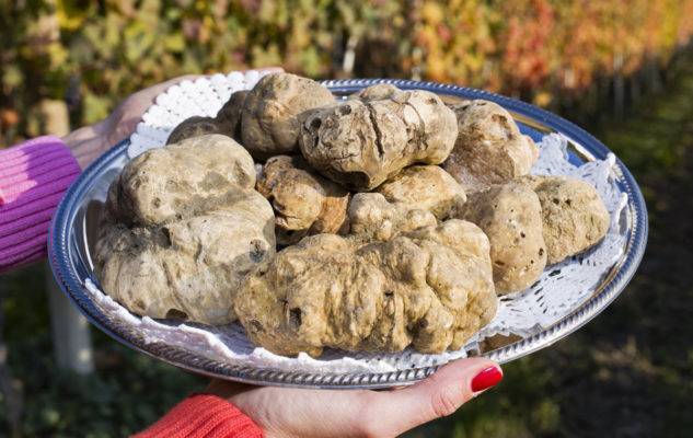 Fiera Regionale del Tartufo Bianco di Mondovì