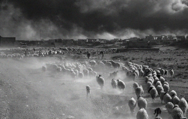 Paolo Pellegrin. Un’antologia