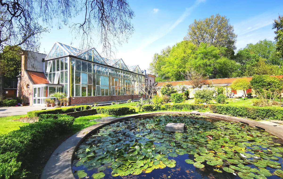 L'Orto Botanico di Torino: piante e fiori da tutto il mondo