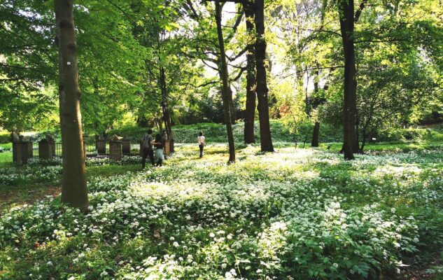 Orto Botanico Torino boschetto