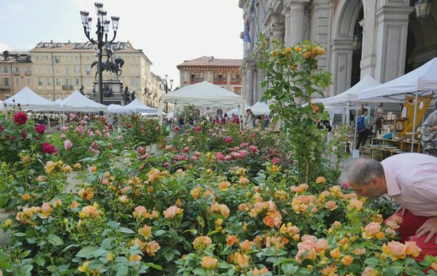 AgriFlor: Piazza Vittorio diventa un giardino colorato con l’edizione “ristretta” di Flor