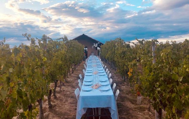 Cena in Vigna 2020 Piemonte