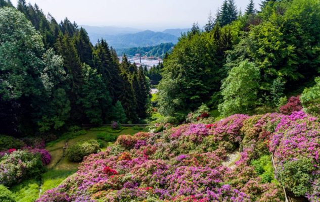 Oasi Zegna: nelle montagne del Piemonte un paradiso di fiori, piante e paesaggi incantanti