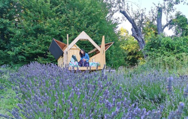 Starsbox lavanda piemonte