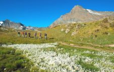 Parco Nazionale Gran Paradiso: al via le Escursioni Gratuite con le guide del Parco