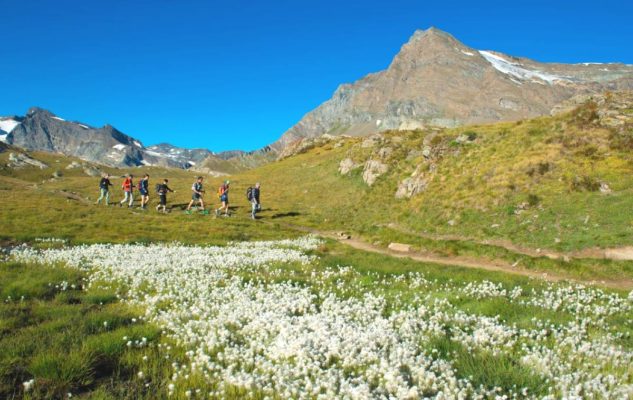 Parco Nazionale Gran Paradiso Escursioni Gratuite