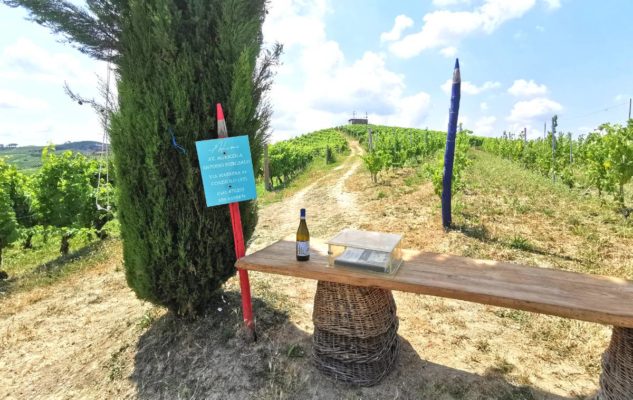 Coazzolo vigna pastelli azienda vinicola