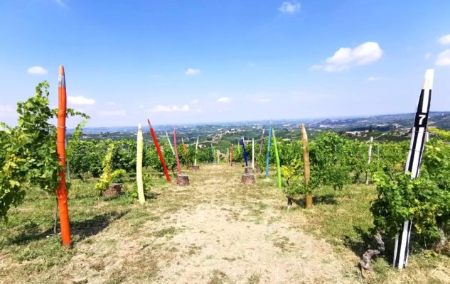 La Vigna dei Pastelli di Coazzolo: l’arte si fa largo tra i vigneti e le colline del Piemonte