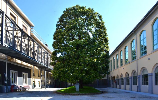 Museo Scrittura Torino