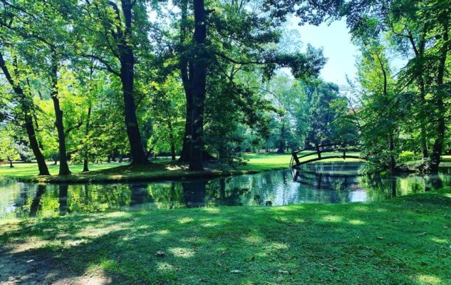 Picnic d'Autore Nichelino