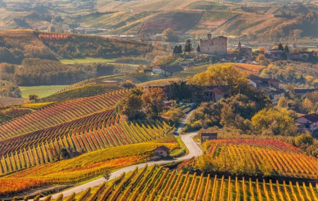 La Strada del Barolo: l’affascinante itinerario tra le vigne e i castelli del Piemonte
