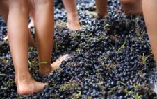 Festa della Vendemmia al Villaggio Fontanafredda: musica, vino e cibo nel cuore delle Langhe