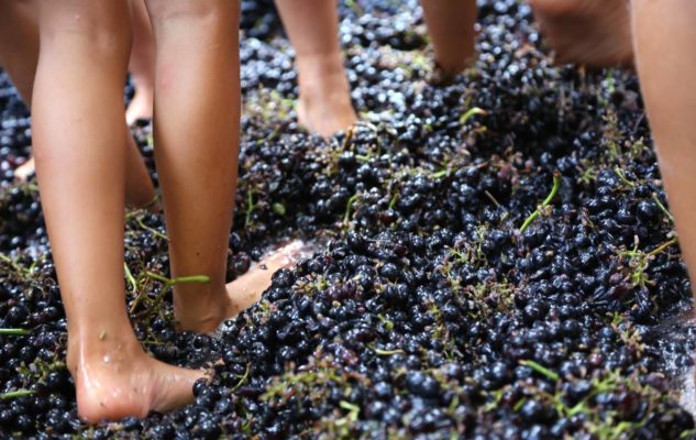 Festa della Vendemmia al Villaggio Fontanafredda