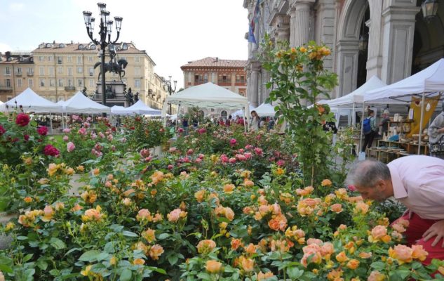 Flor Autunno 2020: Torino si trasforma in un grande giardino